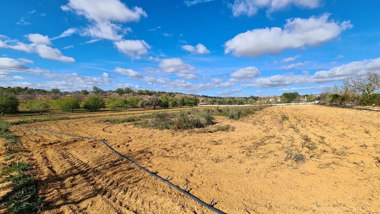 Terreno para Venda em Guia Foto 2