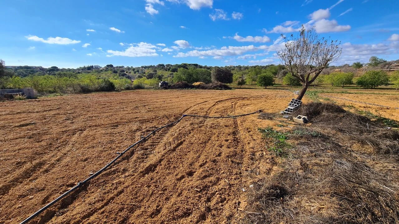 Terreno para Venda em Guia Foto 6