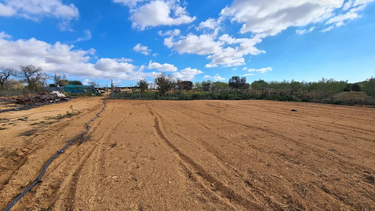 Terreno para Venda em Guia Foto 7