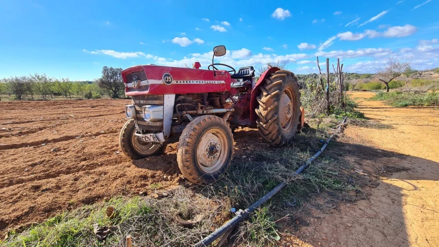 Terreno para Venda em Guia Foto 3
