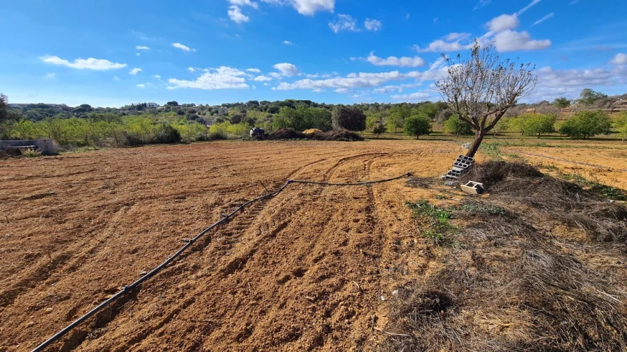 Terreno para Venda em Guia Foto 6