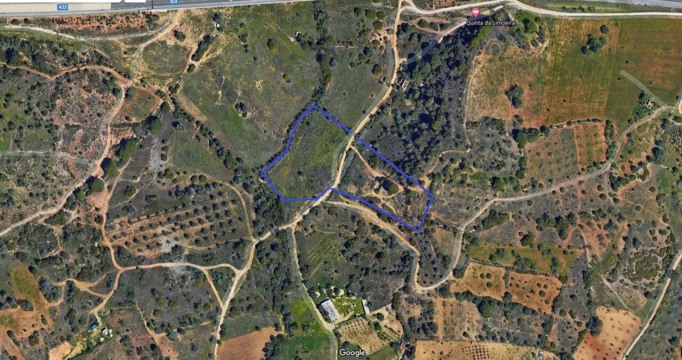 Terreno para Venda em Alcantarilha e Pêra Foto 1