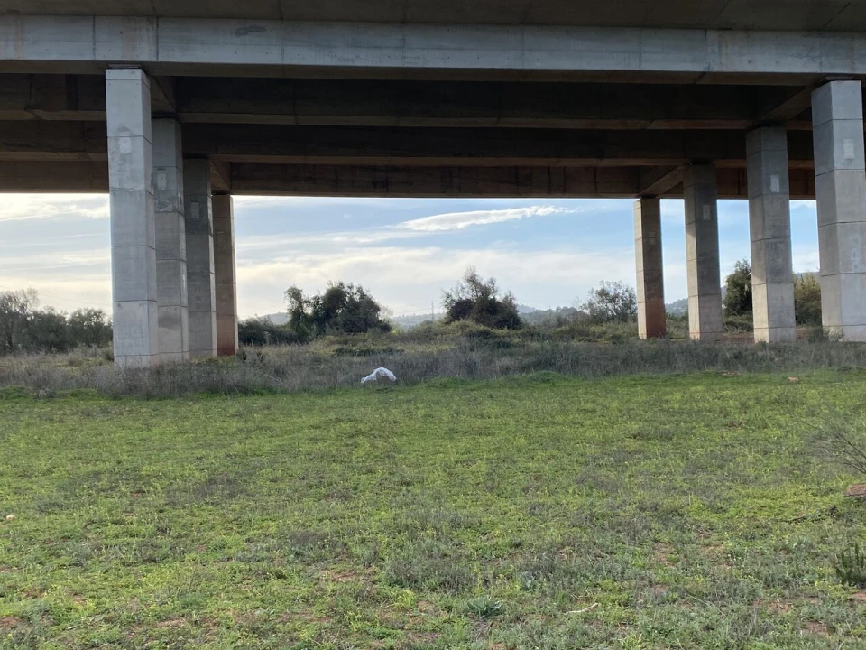 Terreno para Venda em São Bartolomeu de Messines Foto 2