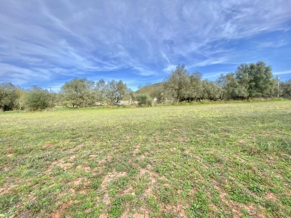 Terreno para Venda em São Bartolomeu de Messines Foto 5