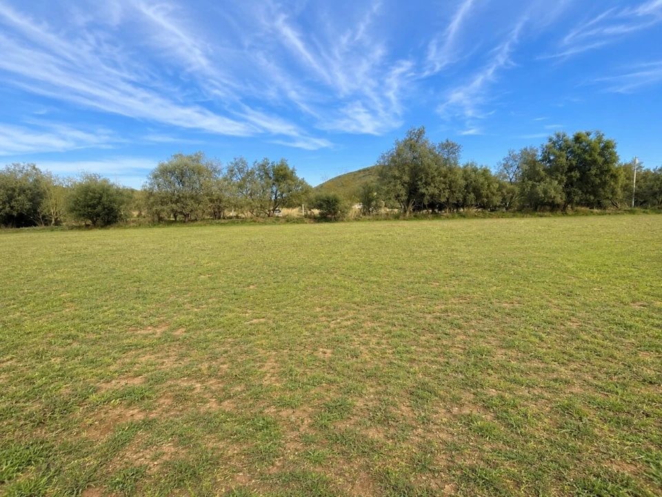 Terreno para Venda em São Bartolomeu de Messines Foto 5
