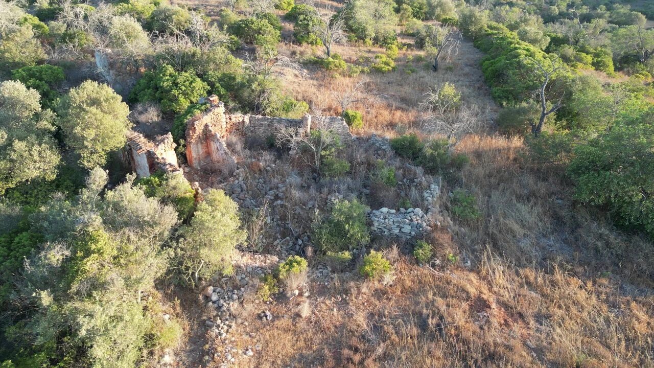 Terreno para Venda em Ferreiras Foto 2