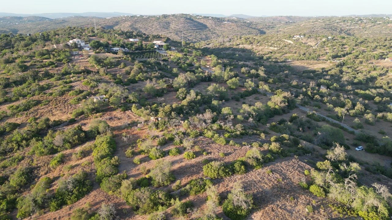 Terreno para Venda em Ferreiras Foto 5