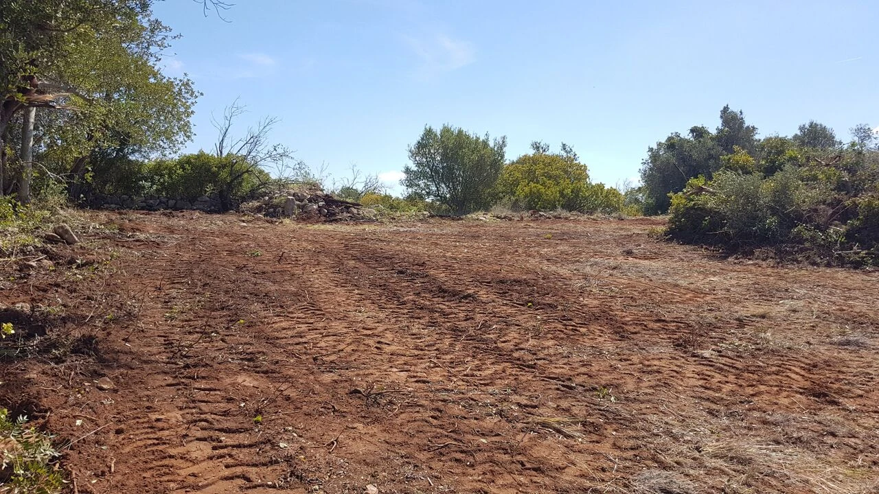 Terreno para Venda em Ferreiras Foto 6