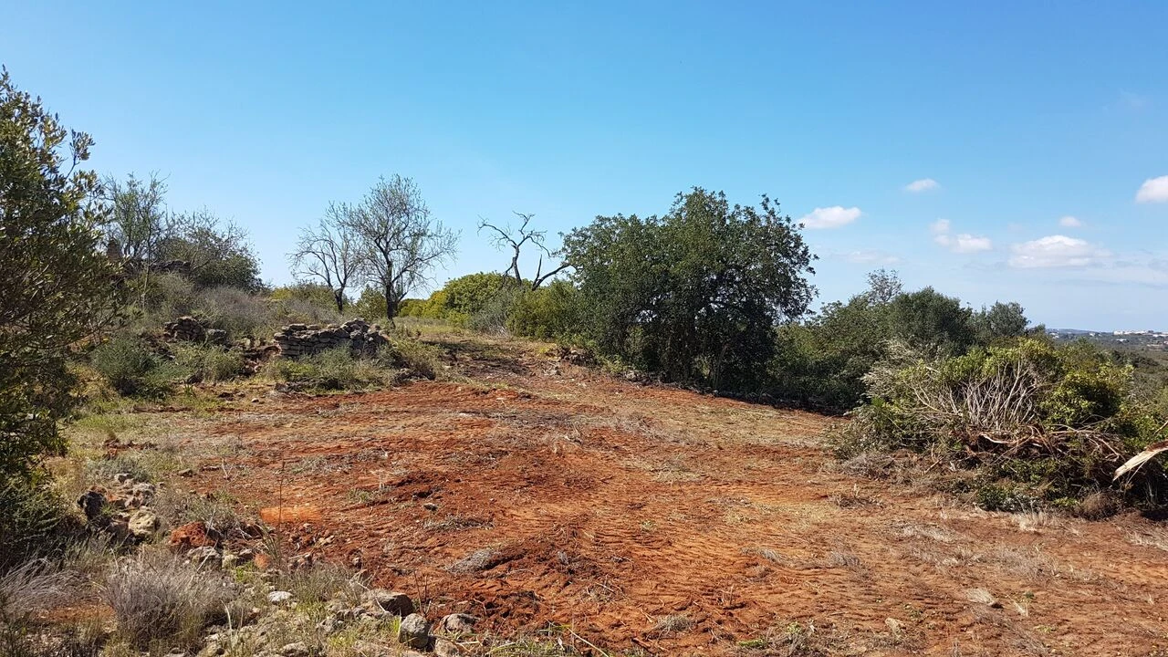 Terreno para Venda em Ferreiras Foto 7