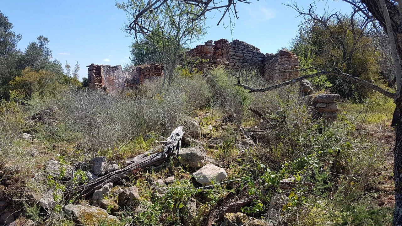 Terreno para Venda em Ferreiras Foto 13