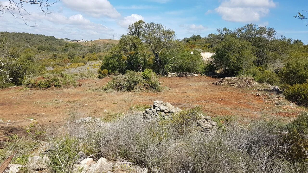 Terreno para Venda em Ferreiras Foto 14