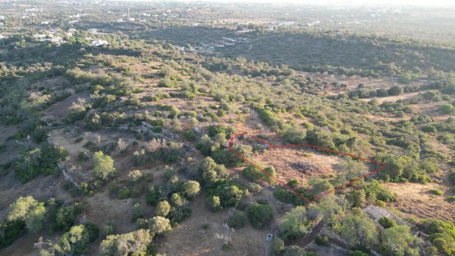 Terreno para Venda em Ferreiras Foto 3