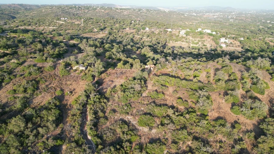 Terreno para Venda em Ferreiras Foto 4