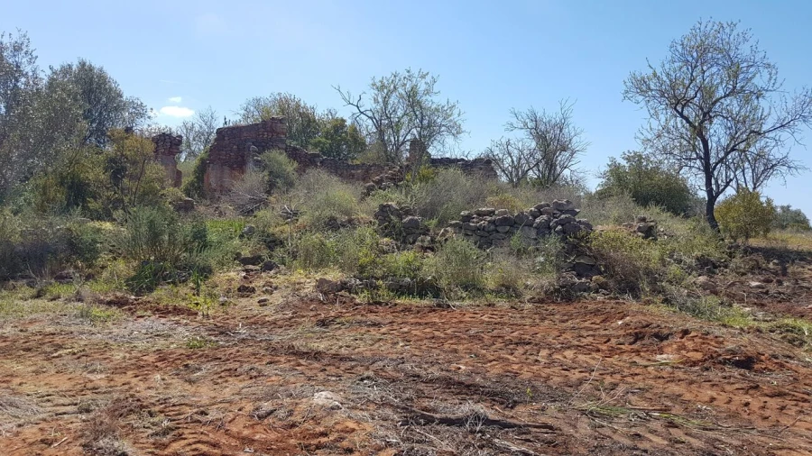 Terreno para Venda em Ferreiras Foto 9