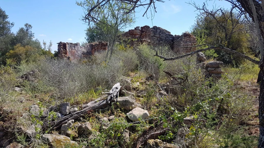 Terreno para Venda em Ferreiras Foto 13