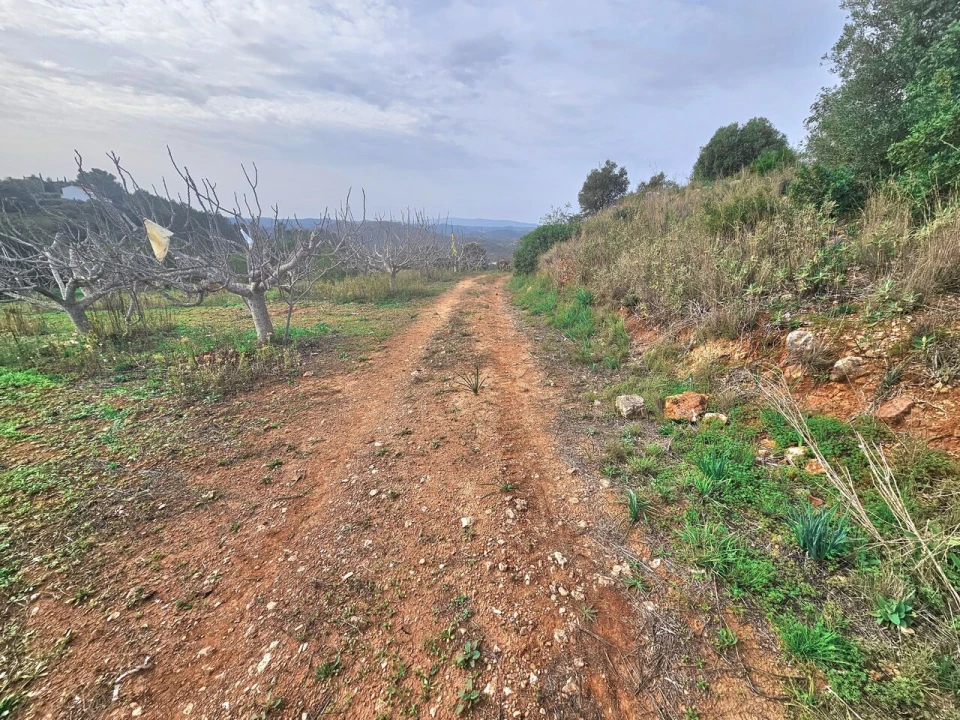 Terreno para Venda em São Bartolomeu de Messines Foto 3