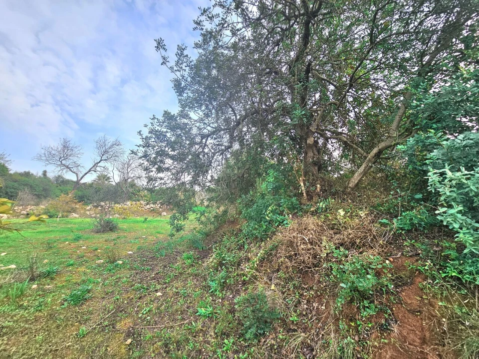Terreno para Venda em São Bartolomeu de Messines Foto 4