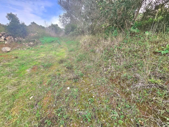 Terreno para Venda em São Bartolomeu de Messines Foto 5