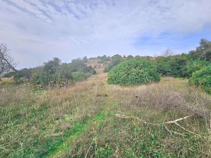 Terreno para Venda em São Bartolomeu de Messines Foto 8