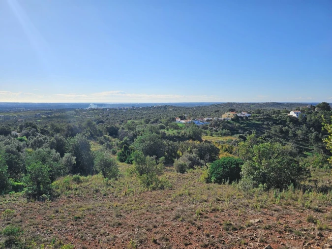 Terreno para Venda em São Bartolomeu de Messines Foto 11
