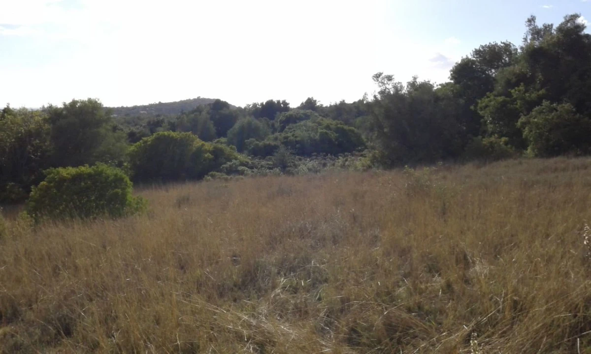 Terreno para Venda em São Bartolomeu de Messines Foto 4