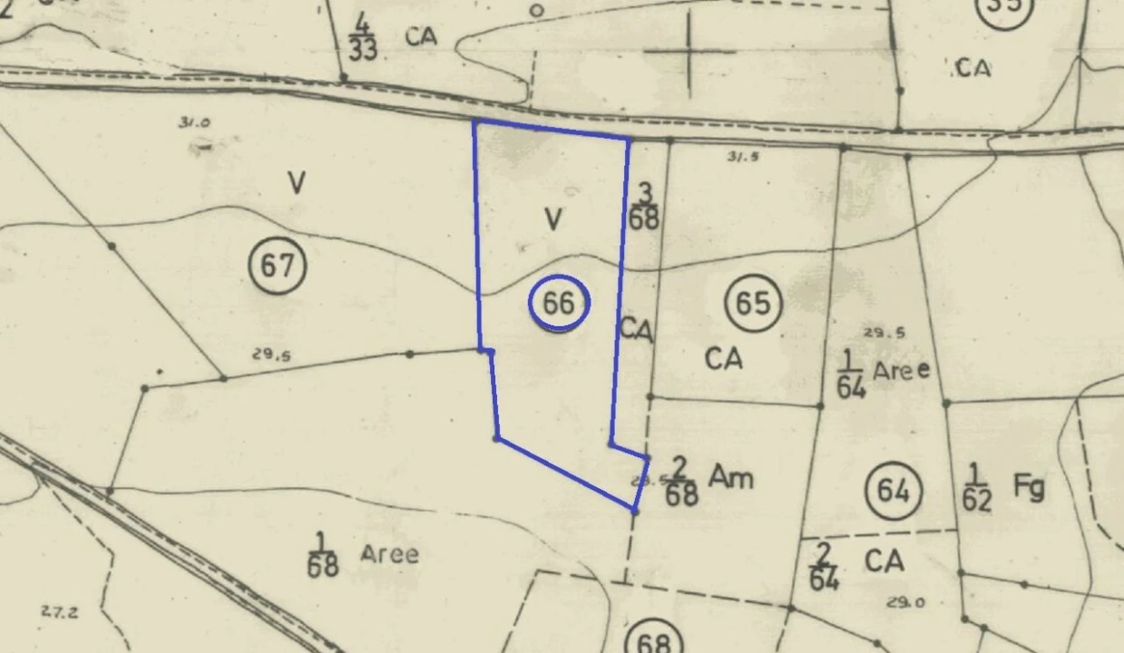 Terreno para Venda em Alcantarilha e Pêra Foto 3