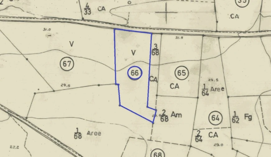 Terreno para Venda em Alcantarilha e Pêra Foto 3