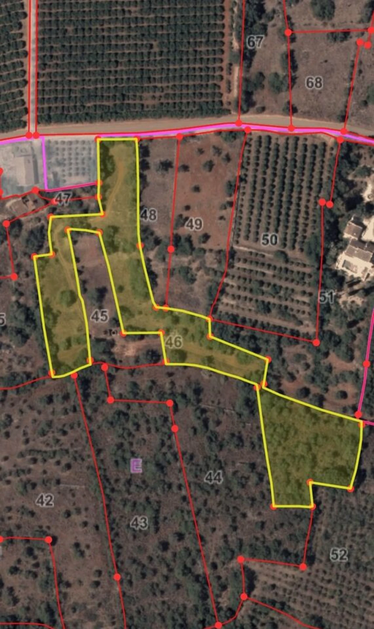 Terreno para Venda em Alcantarilha e Pêra Foto 11