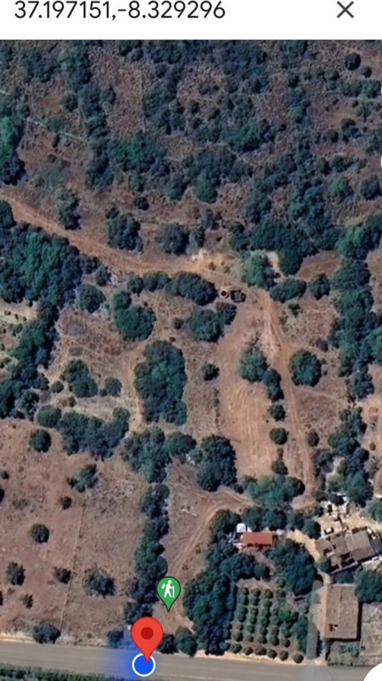 Terreno para Venda em Alcantarilha e Pêra Foto 12