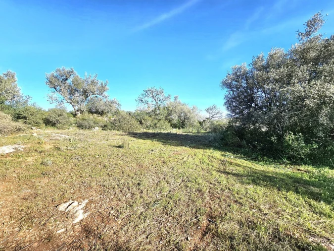 Terreno para Venda em Alcantarilha e Pêra Foto 8