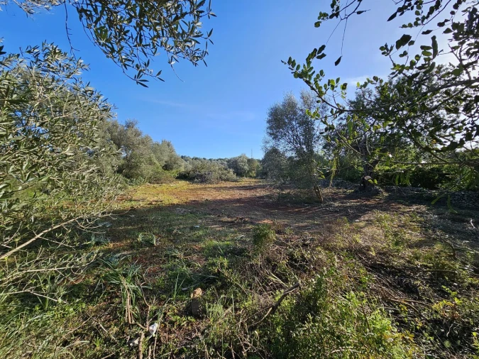 Terreno para Venda em Alcantarilha e Pêra Foto 9