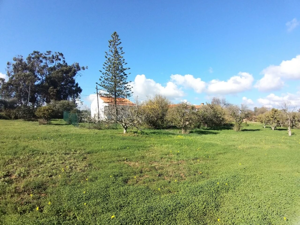 Moradia T4 para Venda em Alcantarilha e Pêra Foto 9