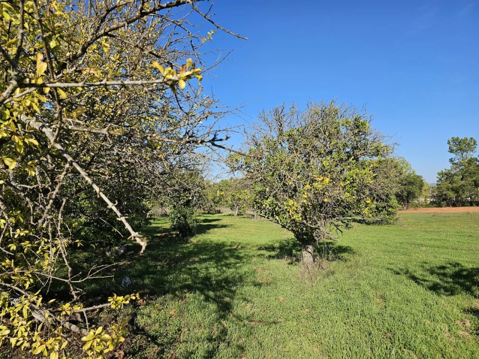Moradia T4 para Venda em Alcantarilha e Pêra Foto 33