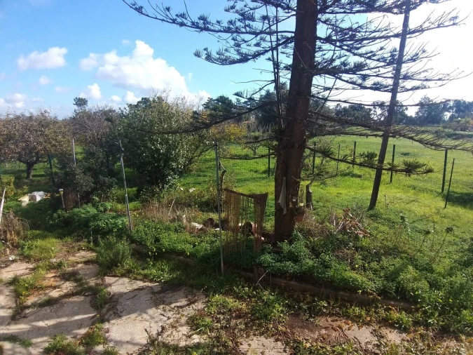 Moradia T4 para Venda em Alcantarilha e Pêra Foto 8