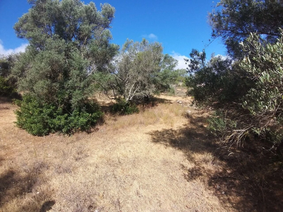 Terreno para Venda em Boliqueime Foto 1