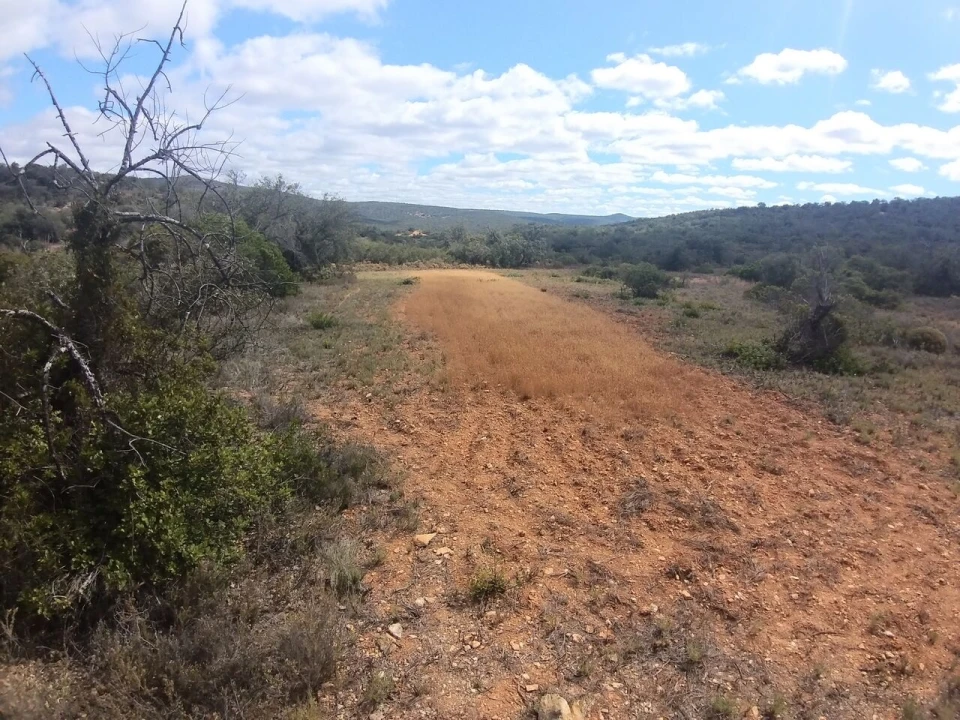 Terreno para Venda em Boliqueime Foto 2