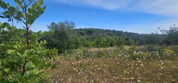 Terreno para Venda em Boliqueime