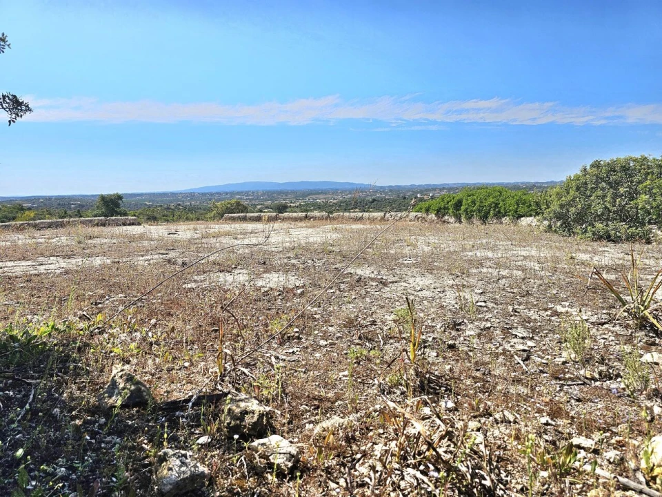 Terreno para Venda em Alcantarilha e Pêra Foto 10