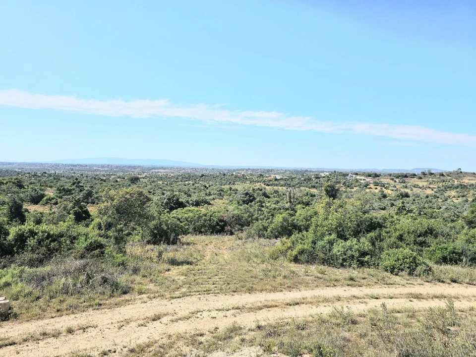Terreno para Venda em Alcantarilha e Pêra Foto 13