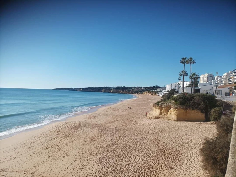 Terreno para Venda em Alcantarilha e Pêra Foto 39