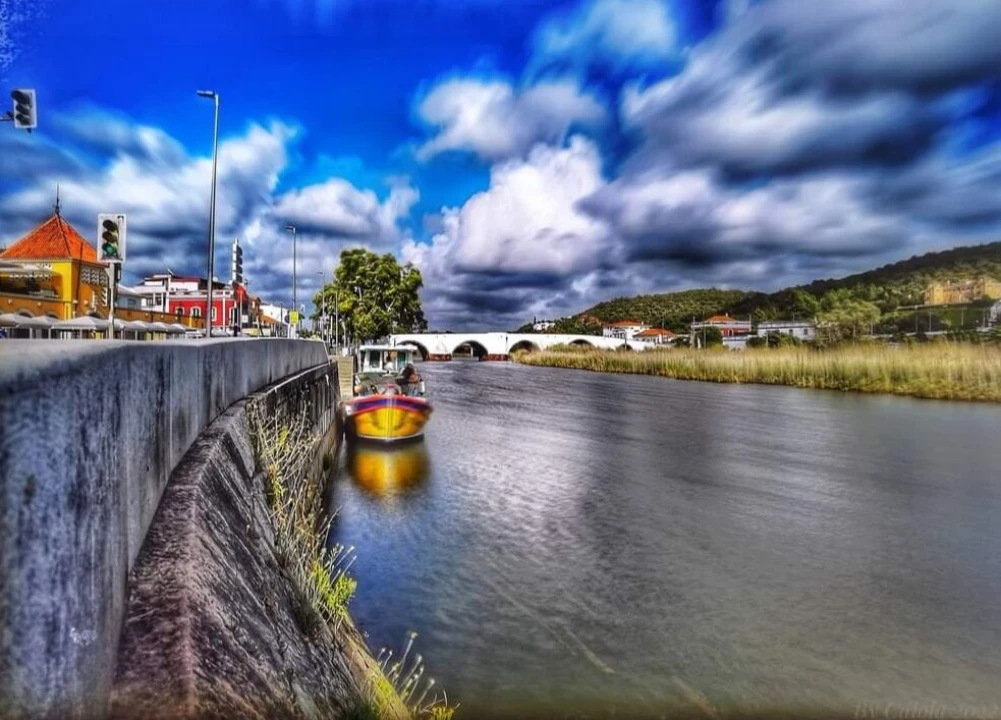 Terreno para Venda em Alcantarilha e Pêra Foto 40