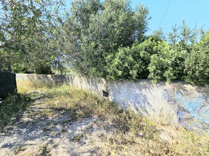 Terreno para Venda em Alcantarilha e Pêra Foto 9