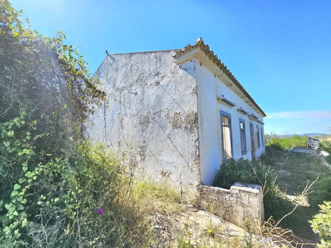 Terreno para Venda em Alcantarilha e Pêra Foto 2