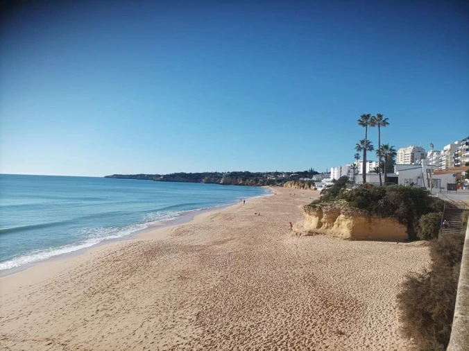 Terreno para Venda em Alcantarilha e Pêra Foto 39