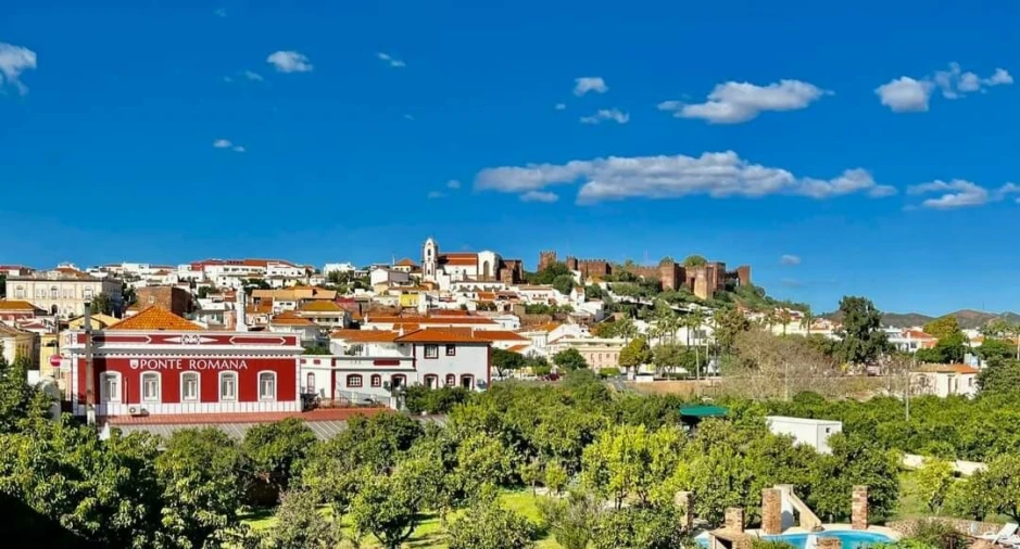 Terreno para Venda em Alcantarilha e Pêra Foto 41