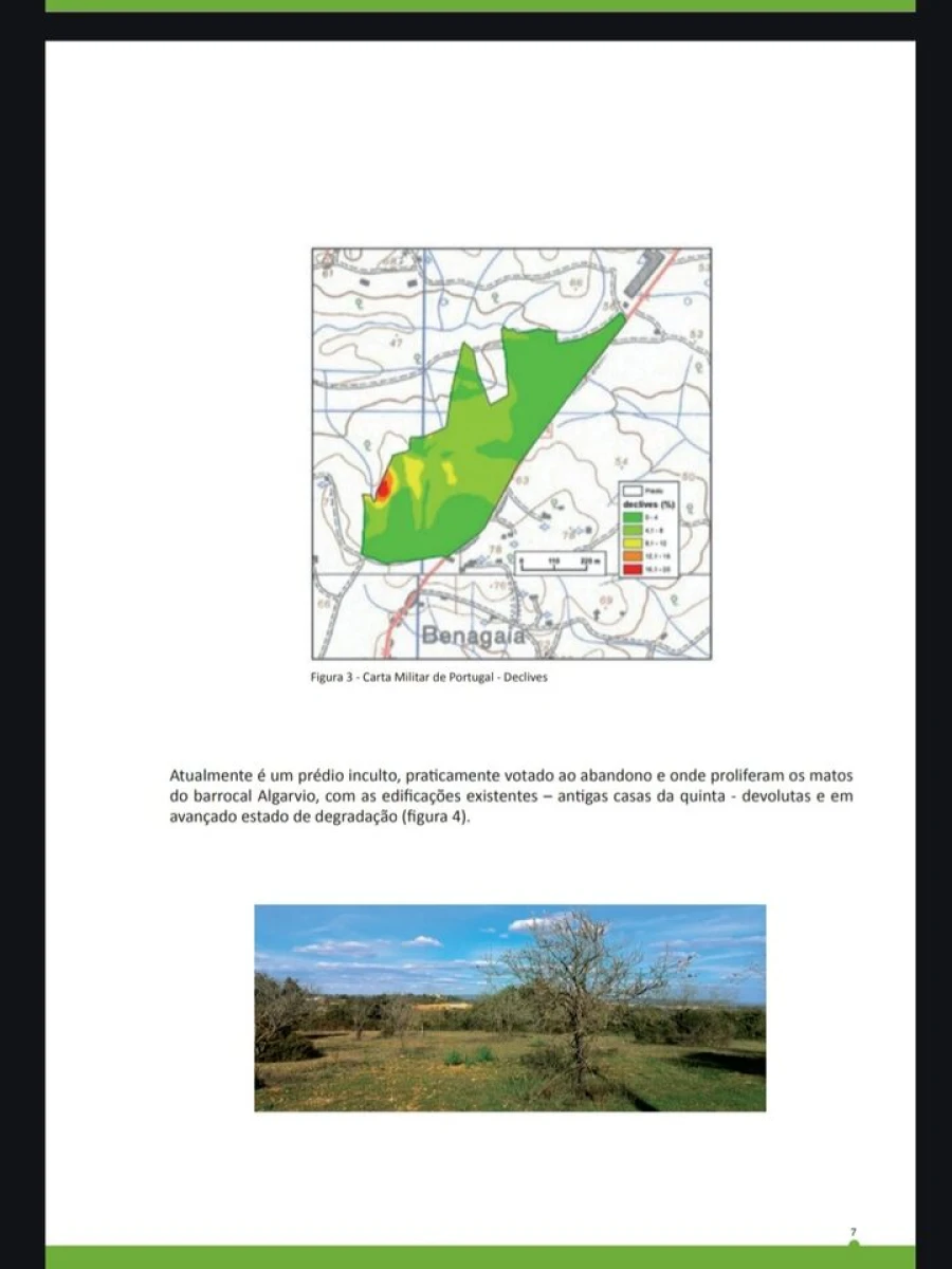 Terreno para Venda em Alcantarilha e Pêra Foto 18