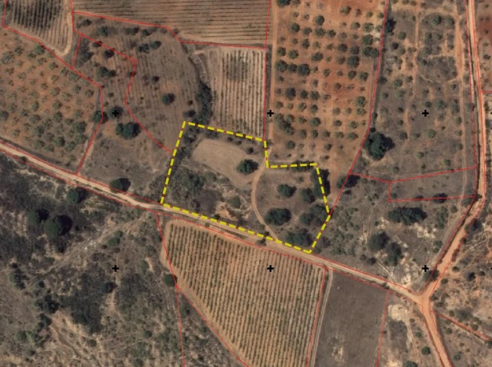 Terreno para Venda em Alcantarilha e Pêra Foto 1