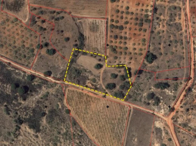 Terreno para Venda em Alcantarilha e Pêra Foto 1