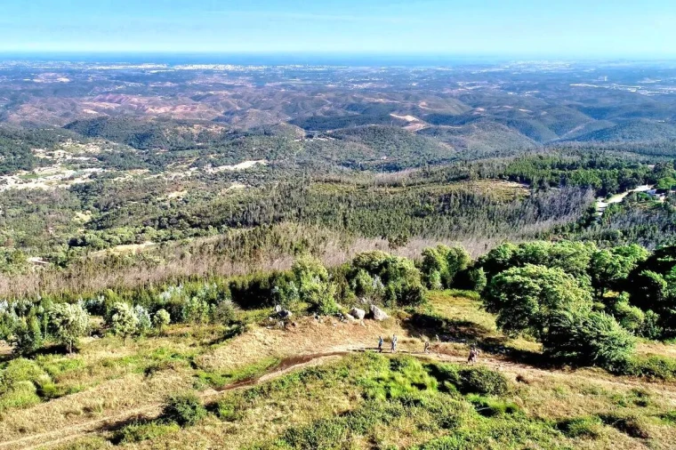 Armazém para Venda em Alferce Foto 12