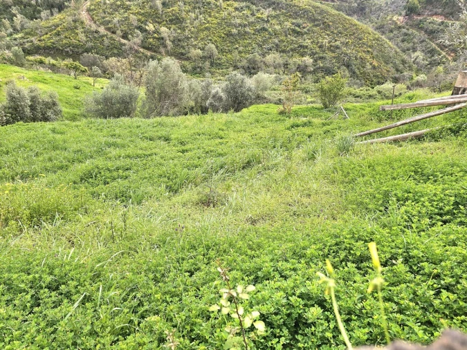 Armazém para Venda em Alferce Foto 2